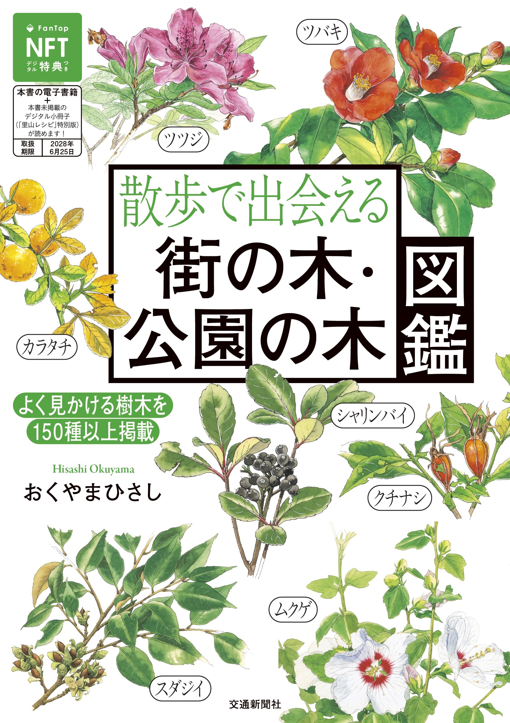 Amazon.co.jp: 散歩で出会える 街の木・公園の木図鑑 : おくやまひさし: 本